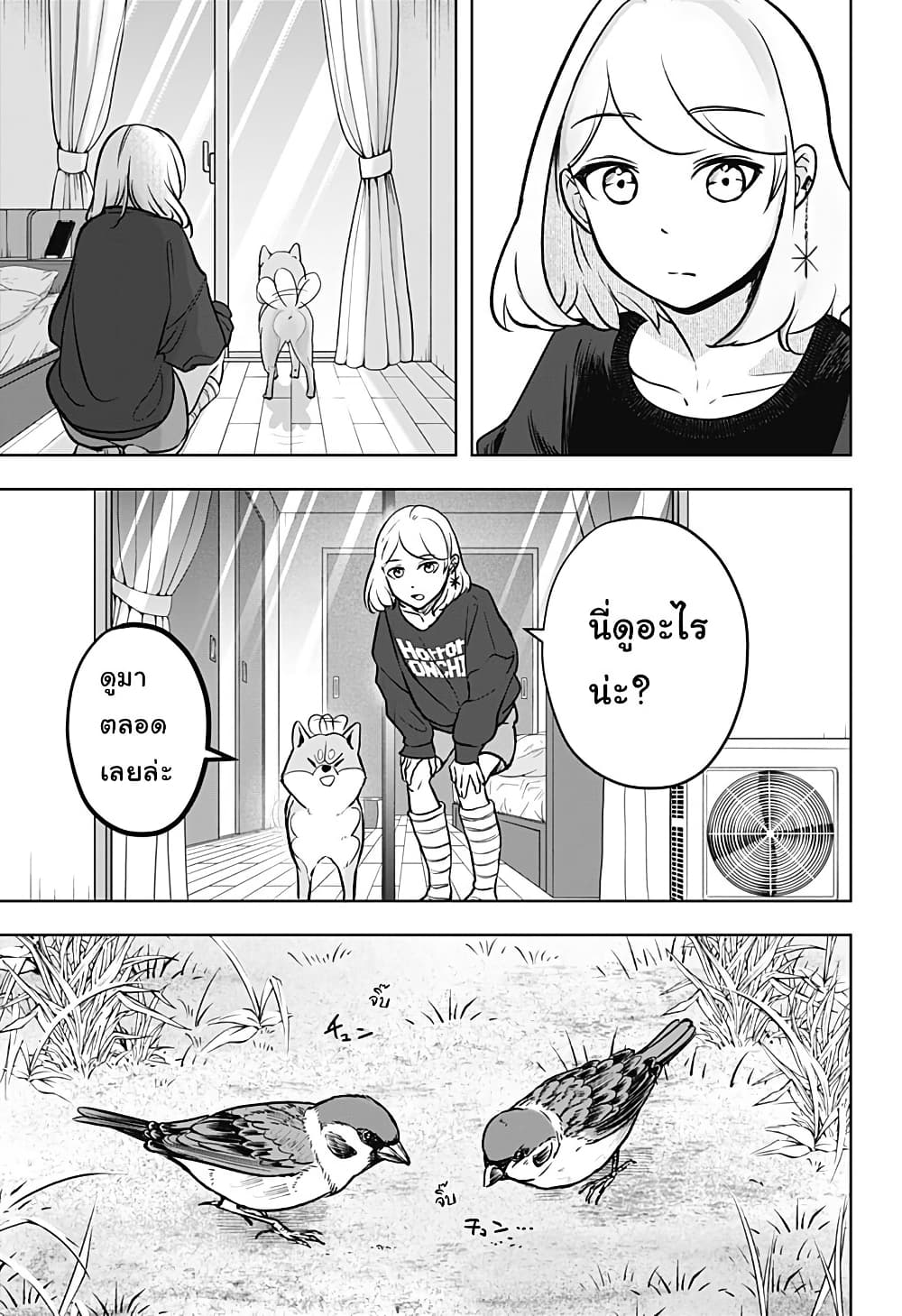 Shiba Inu Rooms page 17