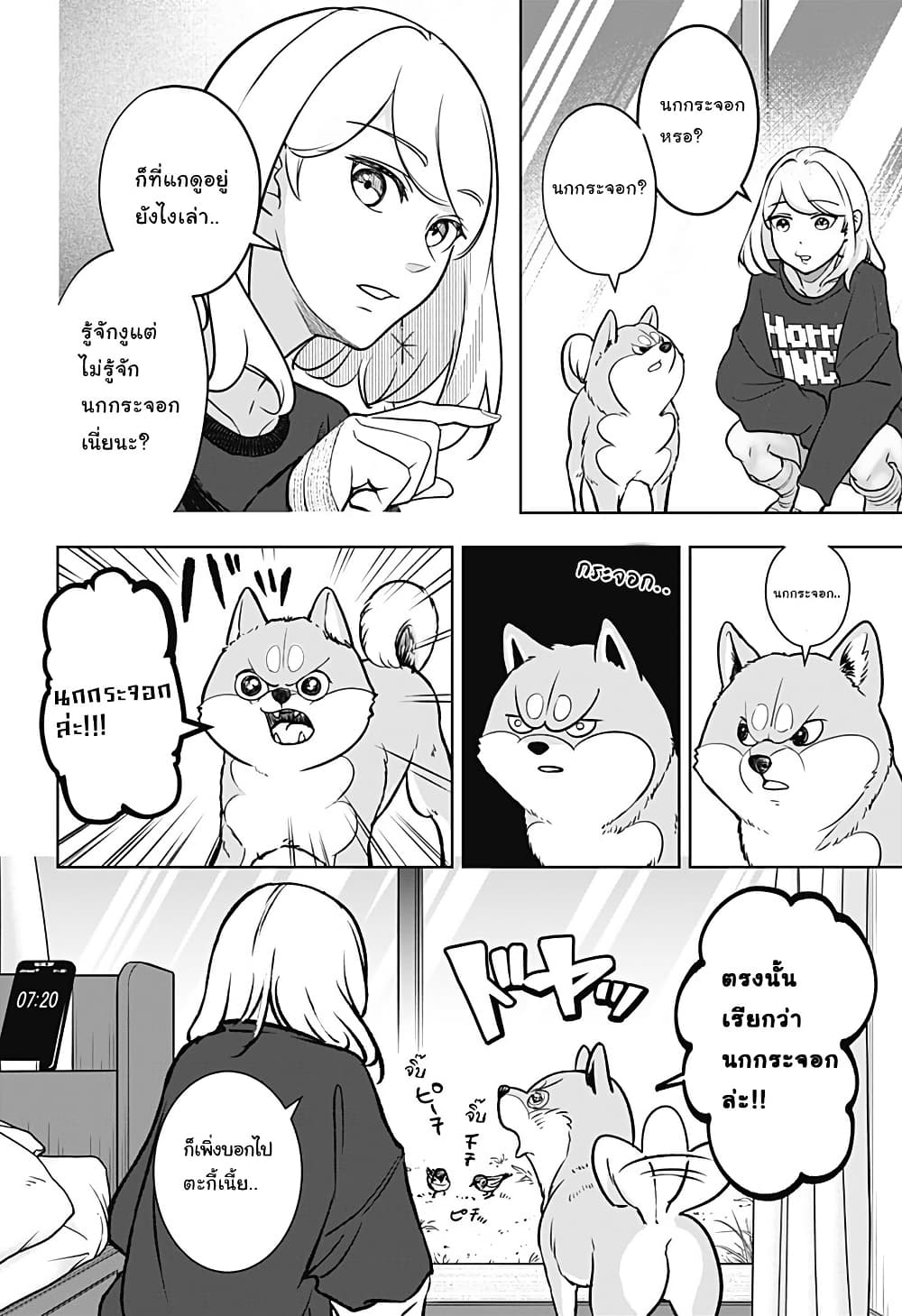 Shiba Inu Rooms page 18