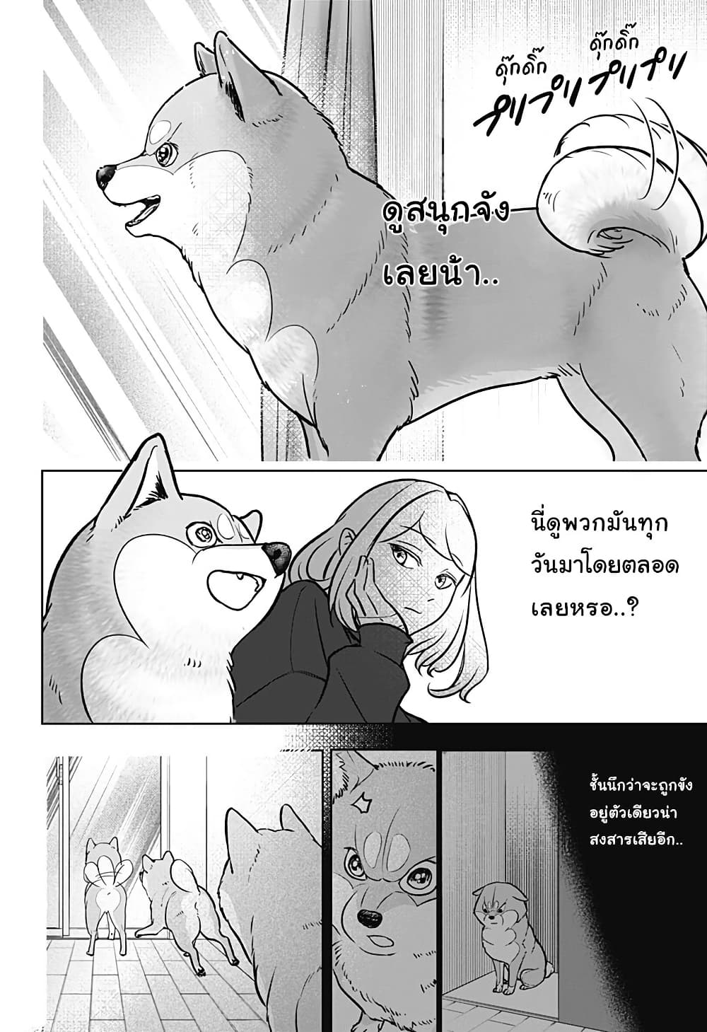 Shiba Inu Rooms page 20