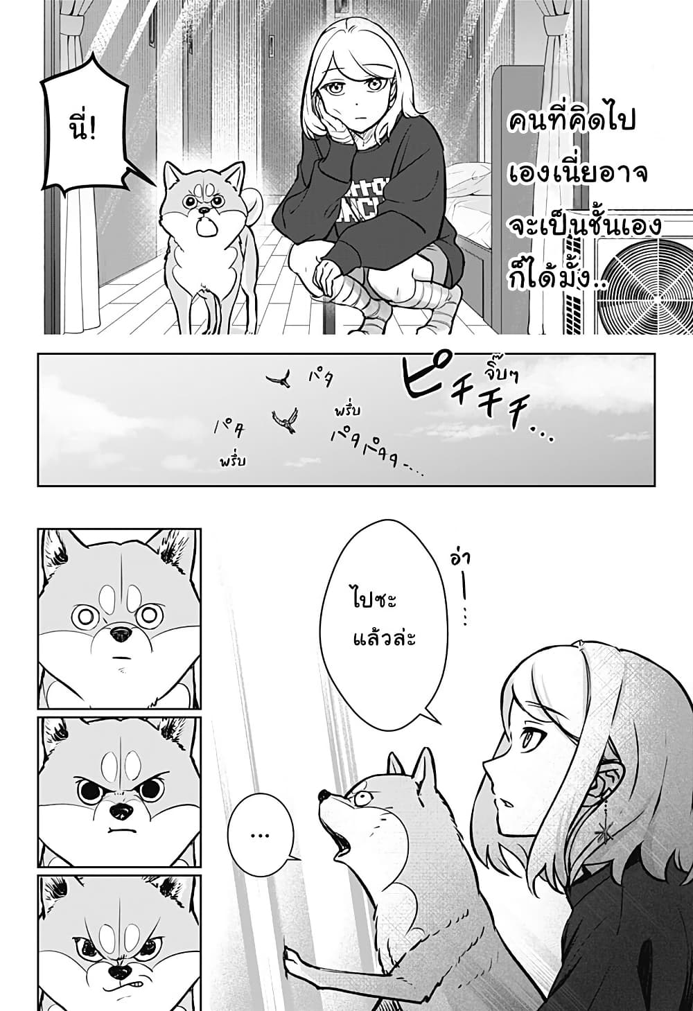 Shiba Inu Rooms page 21