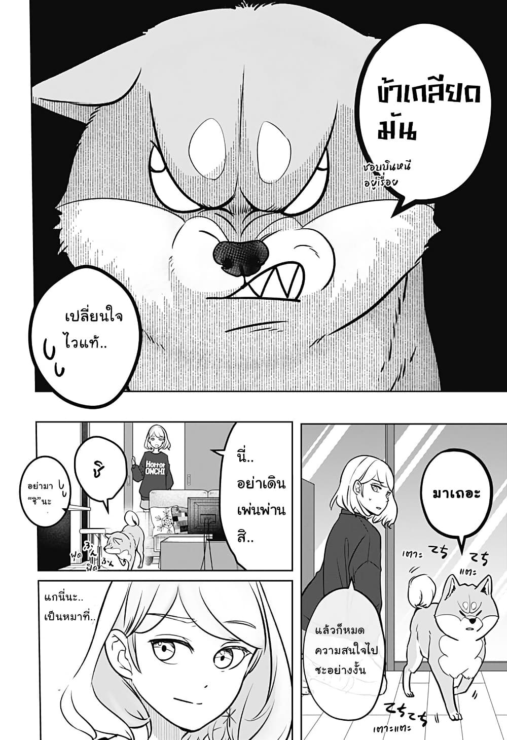 Shiba Inu Rooms page 22