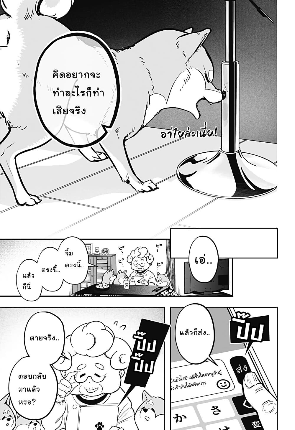 Shiba Inu Rooms page 23