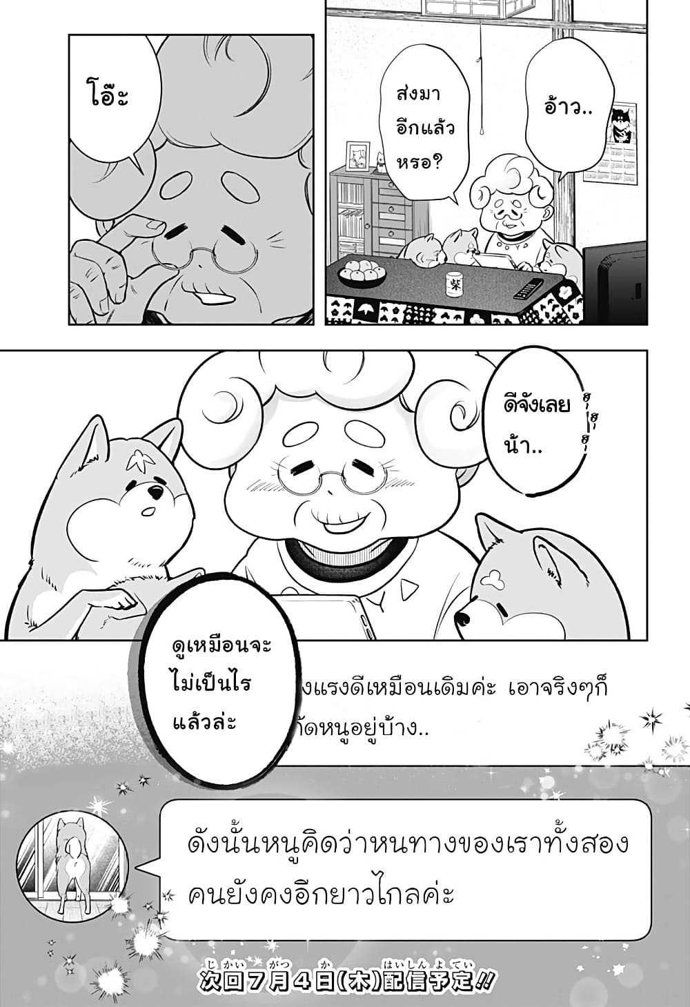 Shiba Inu Rooms page 25