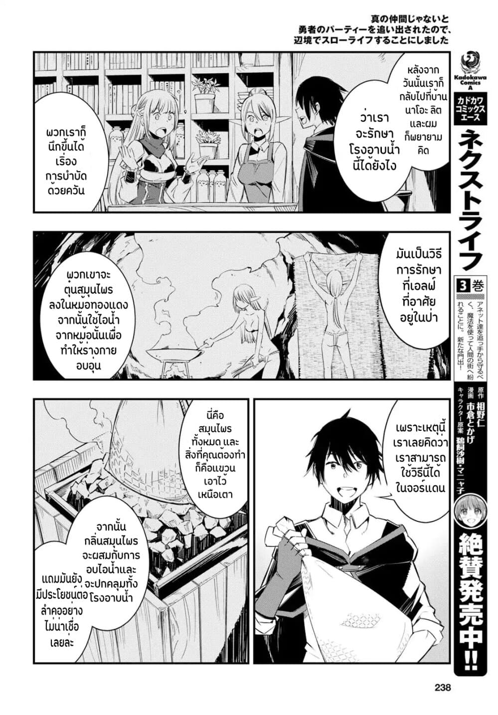 Shin no Nakama Janai to Yuusha no Party wo Oidasareta no de, Henkyou de Slow Life suru koto page 13