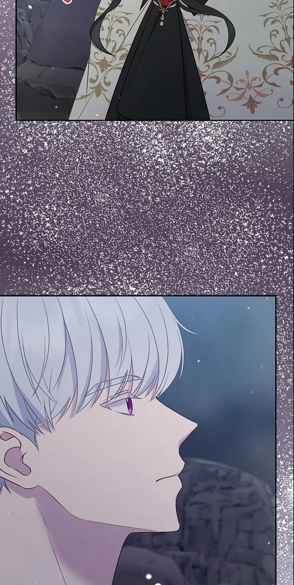 So I Married An Abandoned Crown Prince page 10