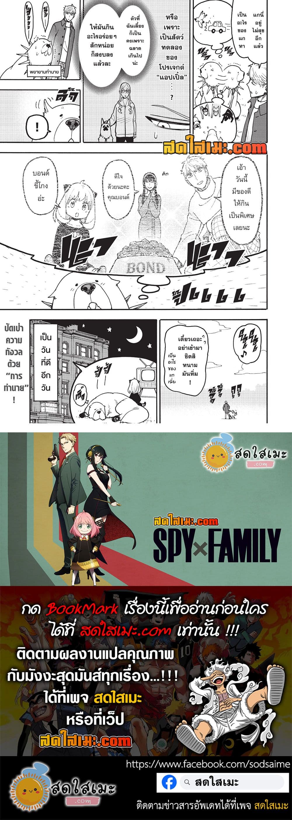 Spy X Family ภารกิจลับครอบครัววายป่วง page 3
