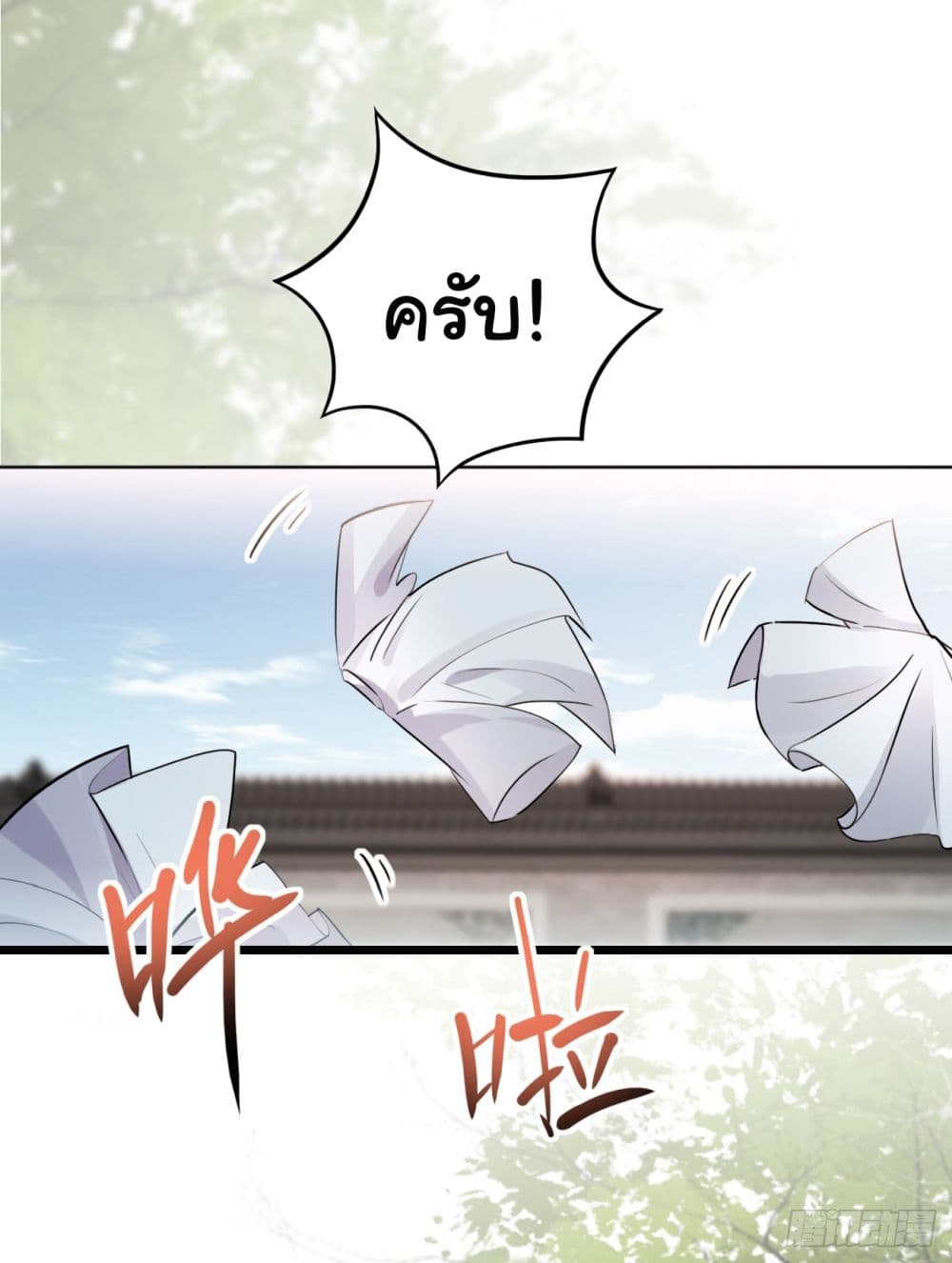 SystemOP page 9