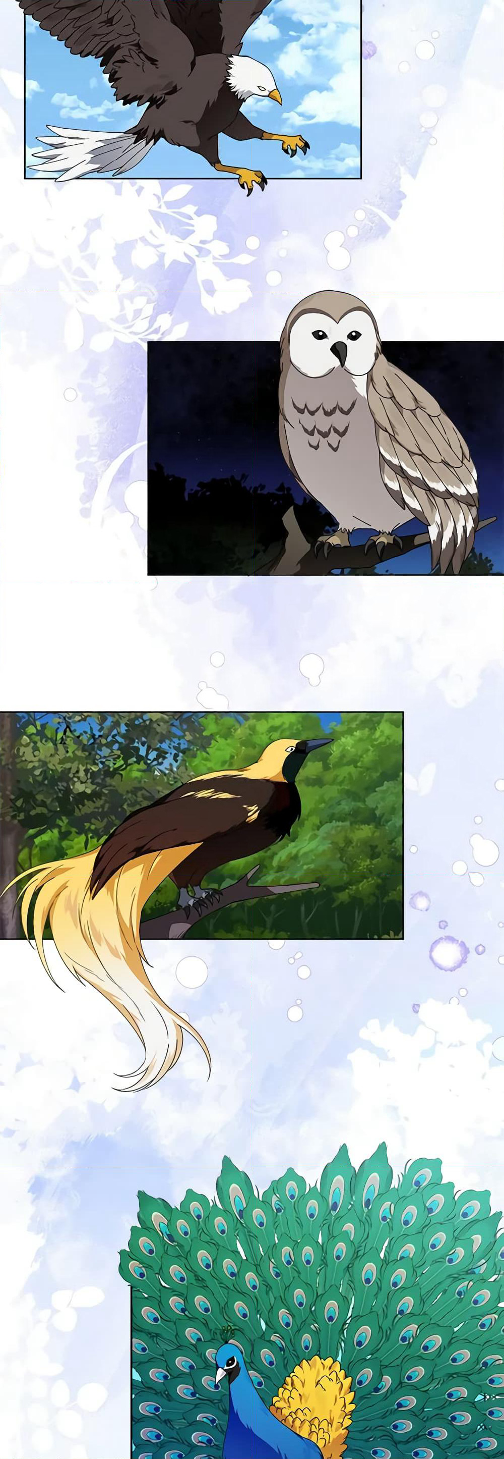 The Bird Empress page 8