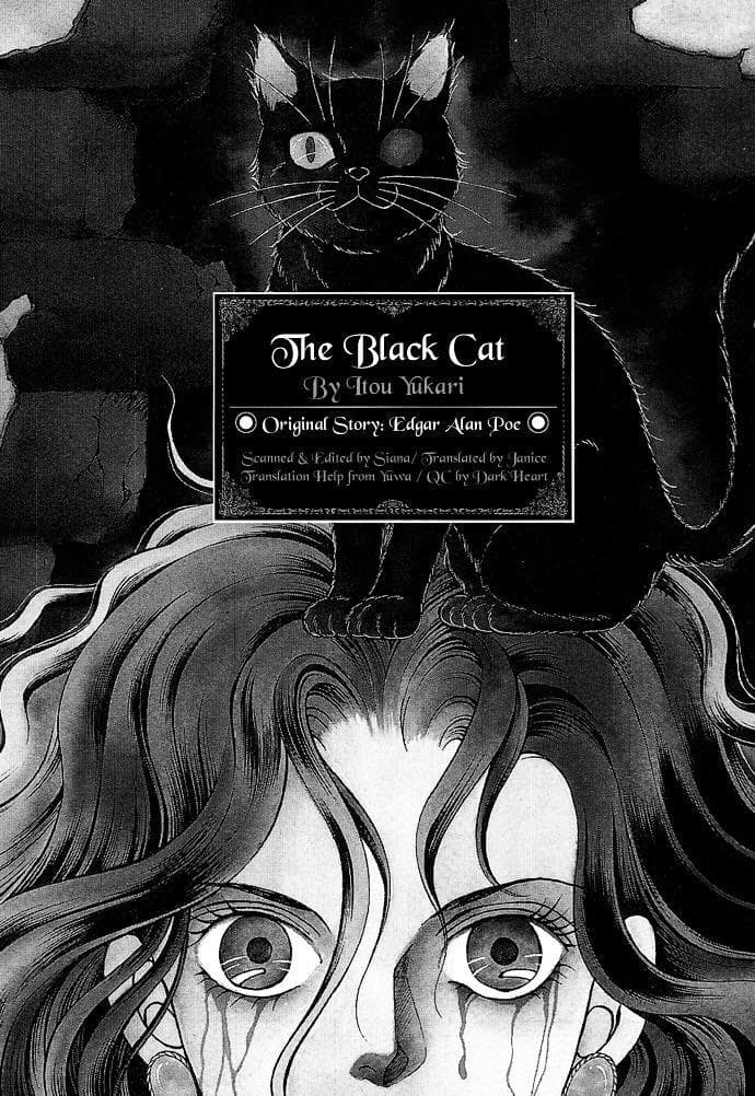 The Black Cat page 1