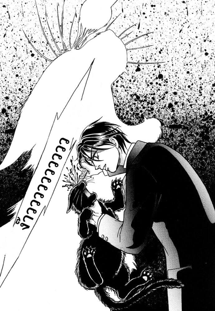 The Black Cat page 17