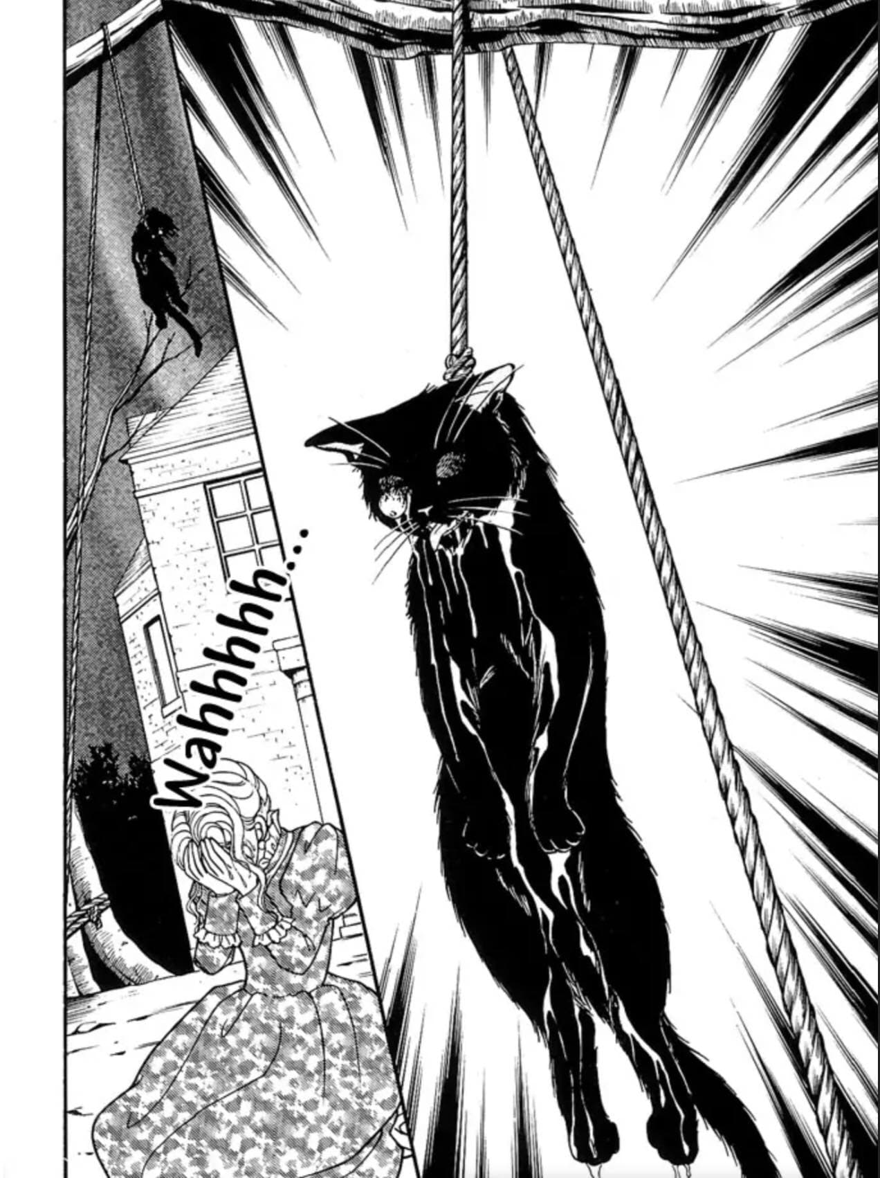 The Black Cat page 26