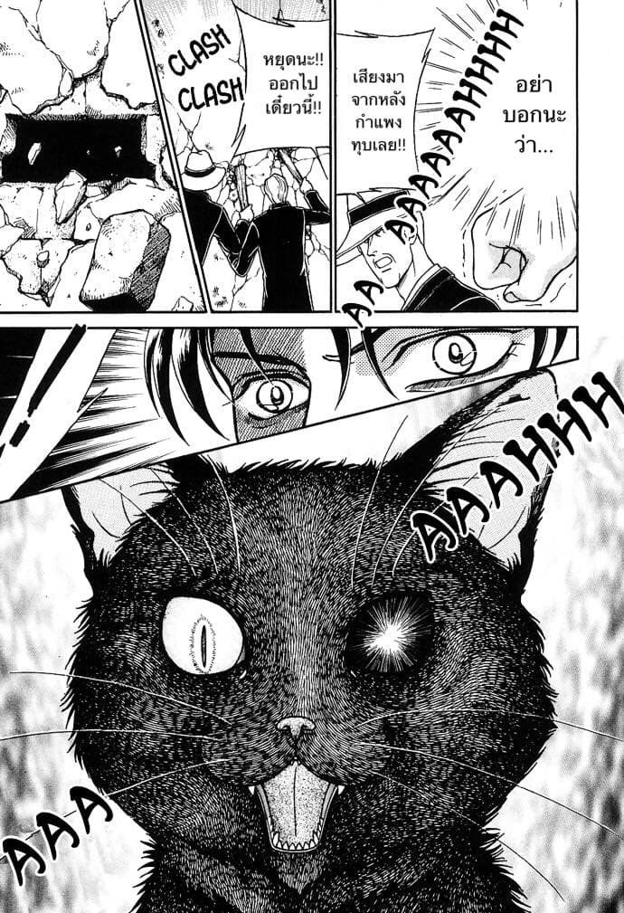The Black Cat page 41