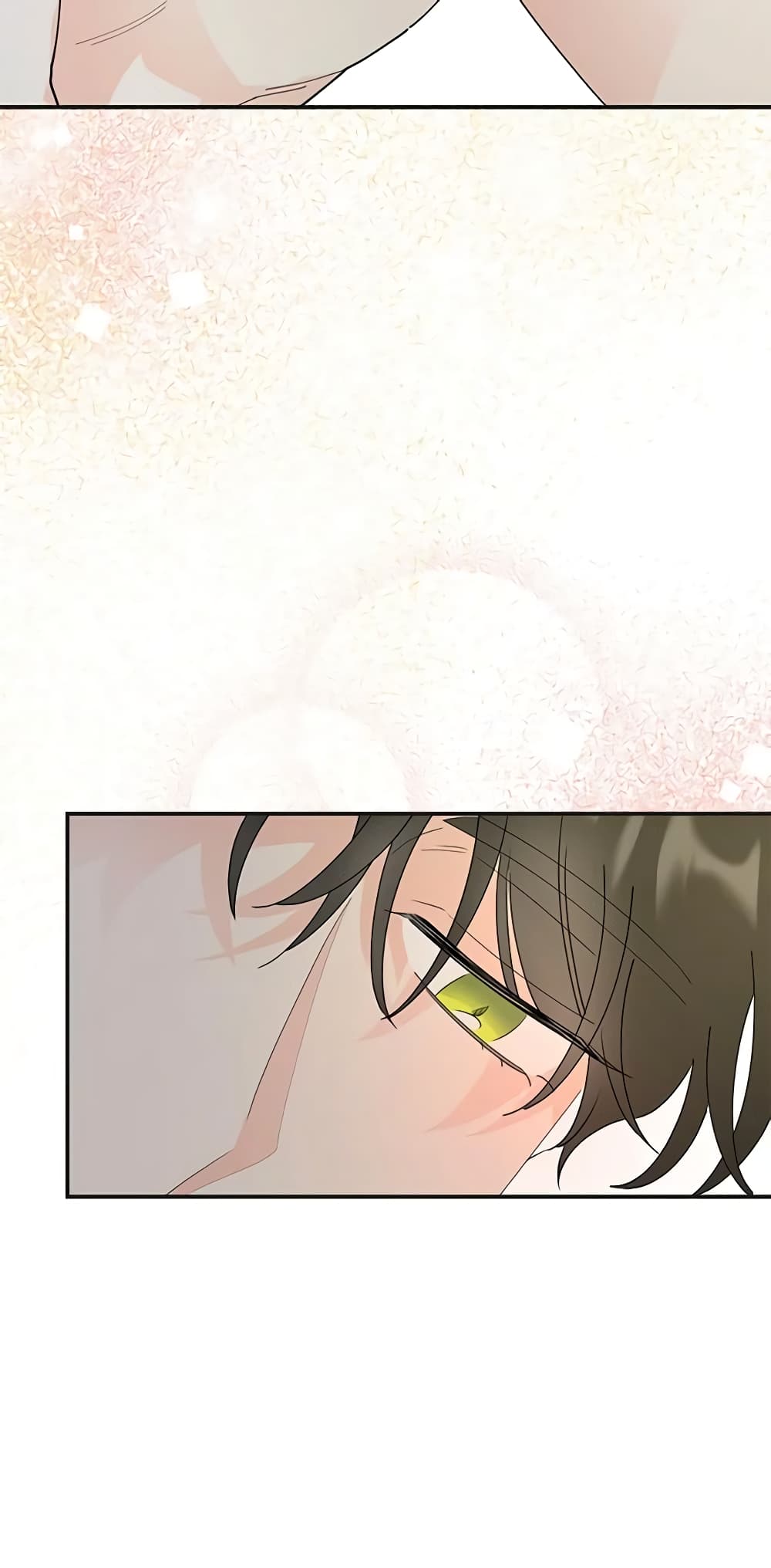 The Evil Lady's Hero page 40
