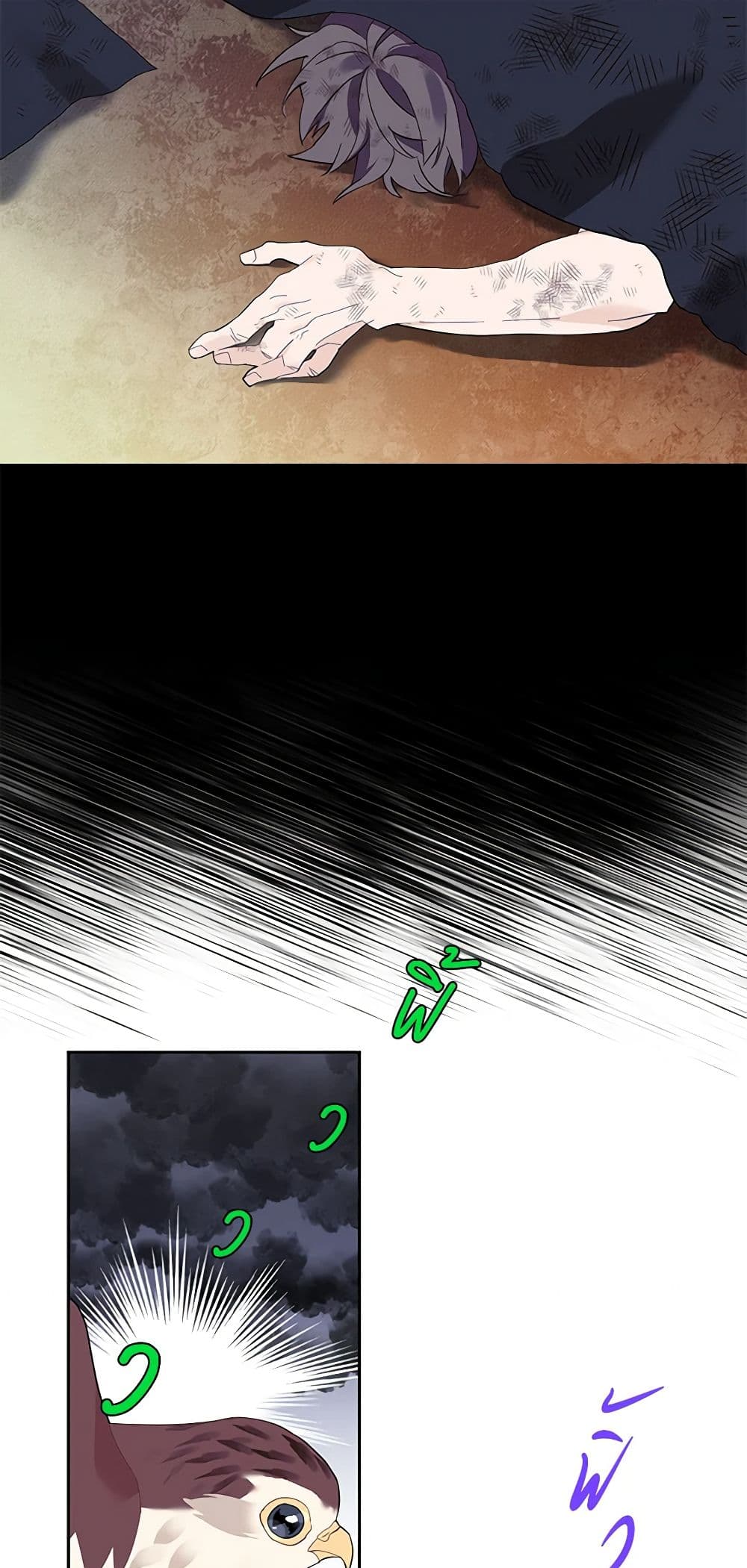 The Falcon Princess page 24