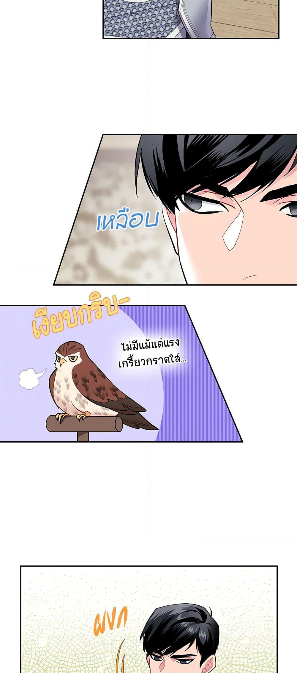 The Falcon Princess page 33