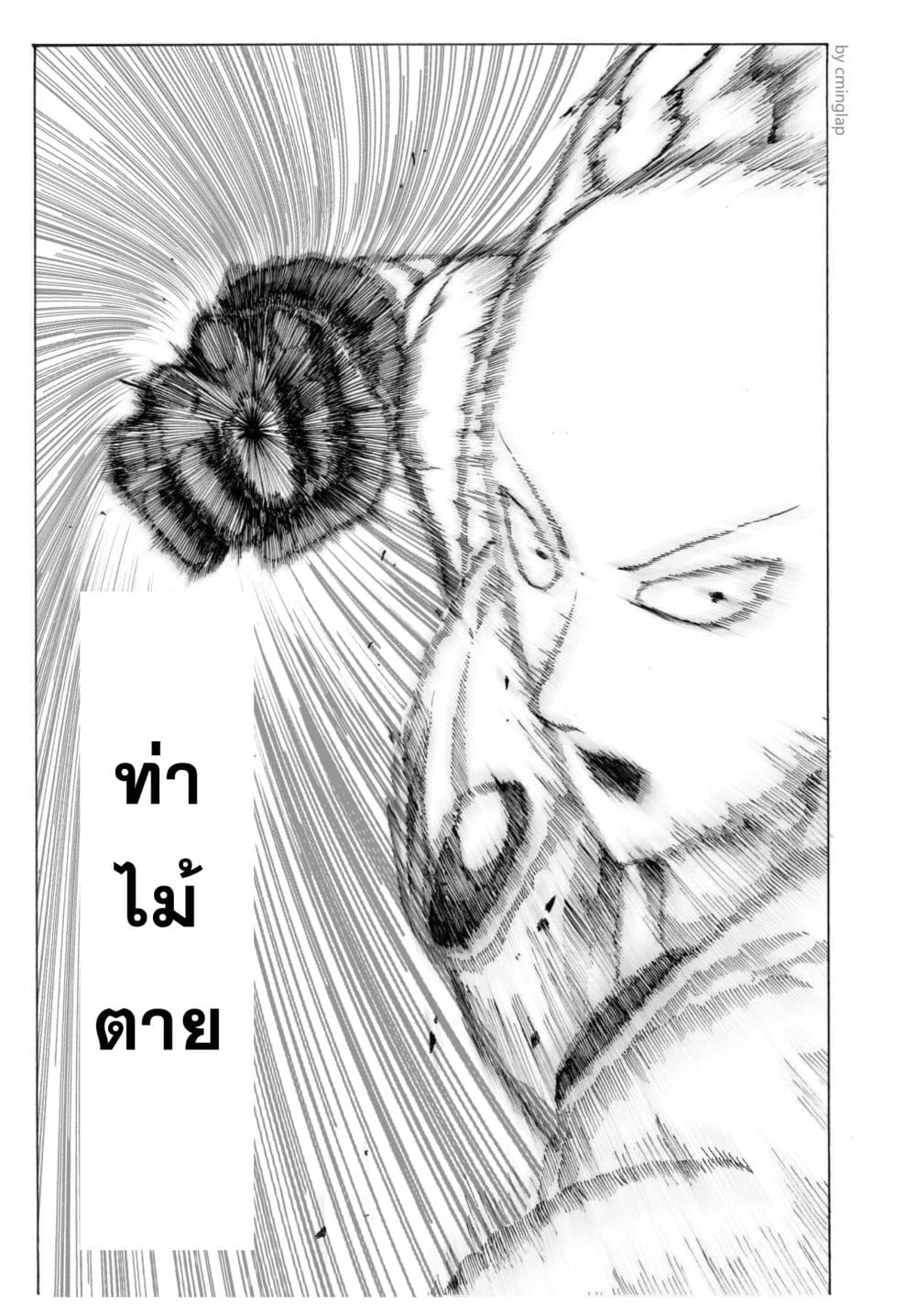 The Fight Of Gods (Fanmade One Punch Man comic) page 40