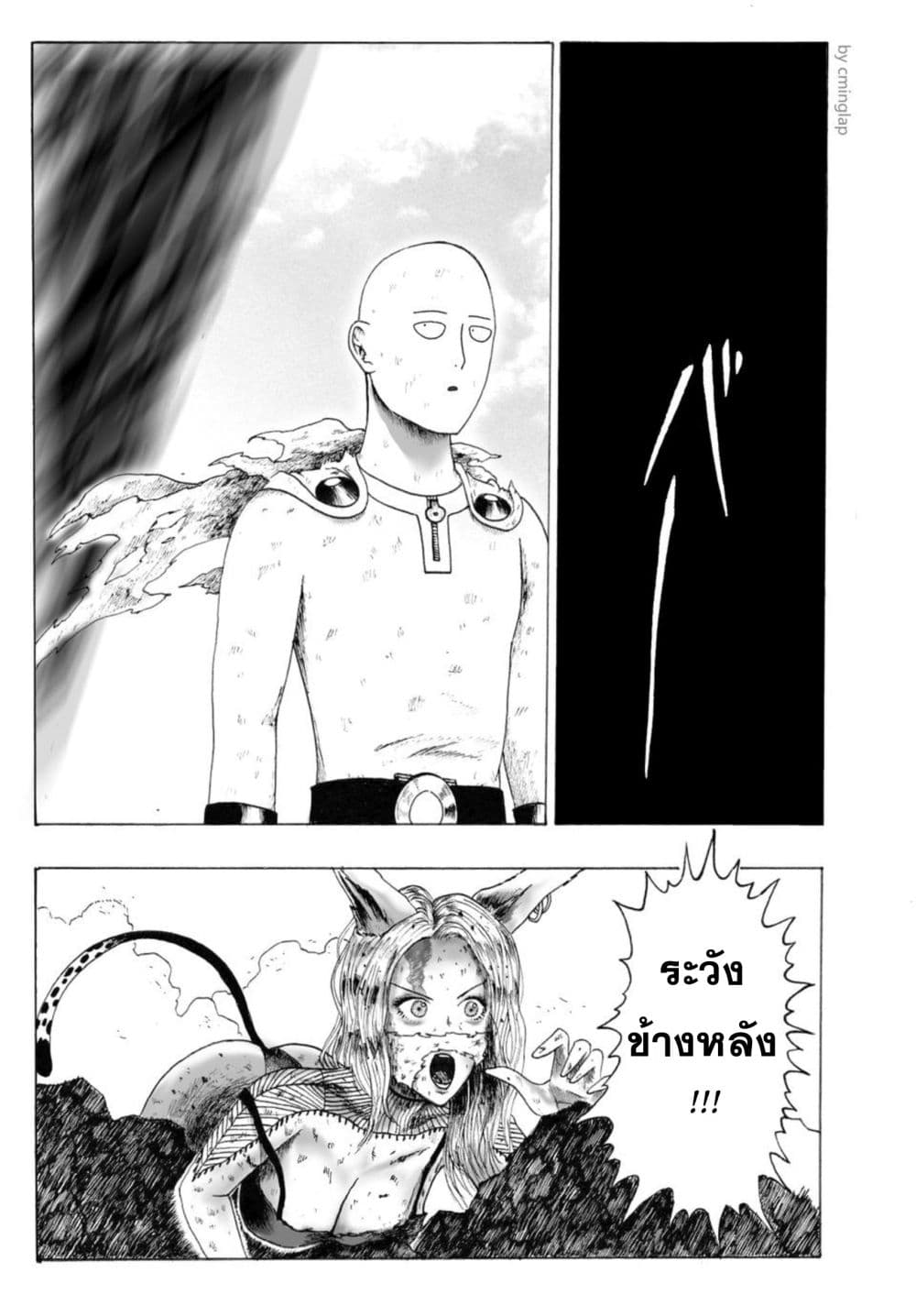 The Fight Of Gods (Fanmade One Punch Man comic) page 45