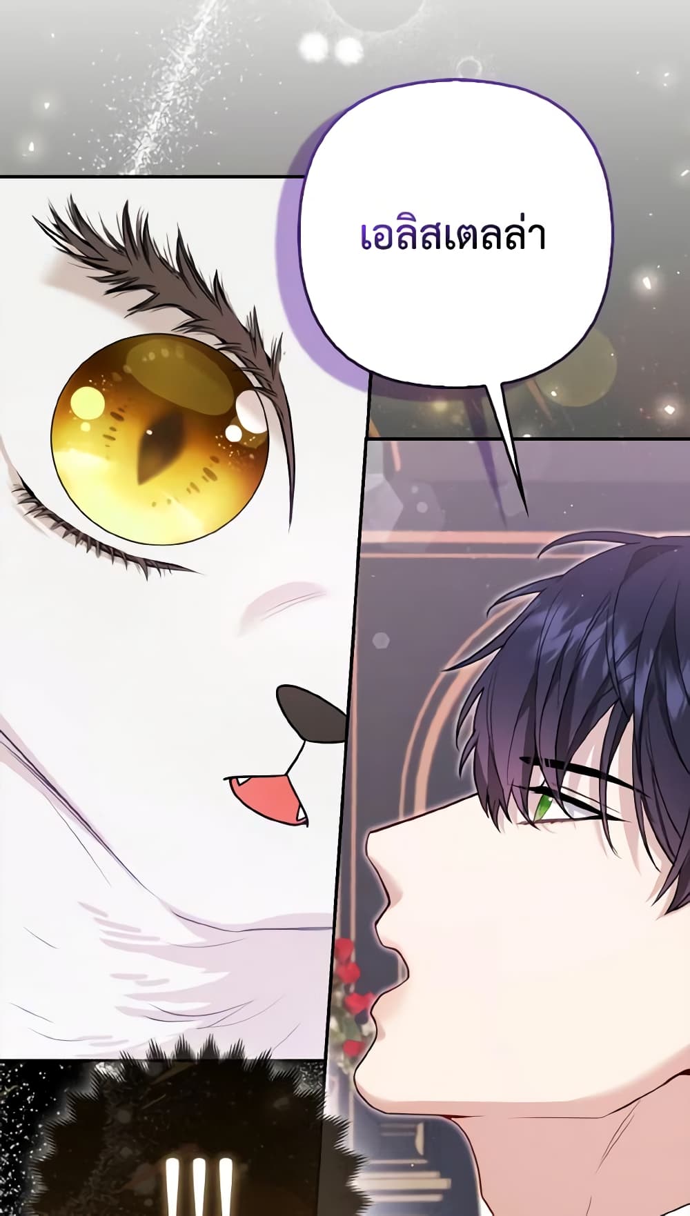 The Grand Duke's Fox Princess page 11