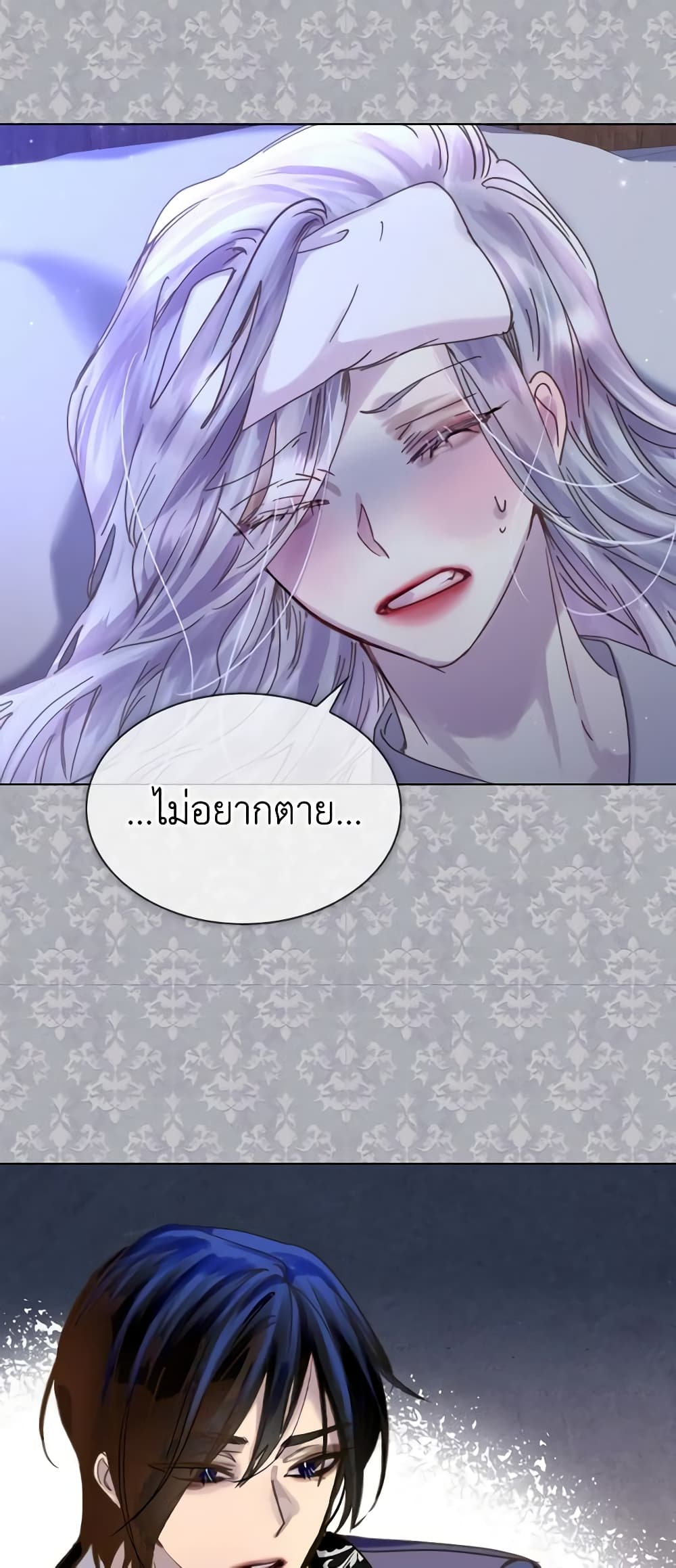 The Lady’s Law of Survival page 29