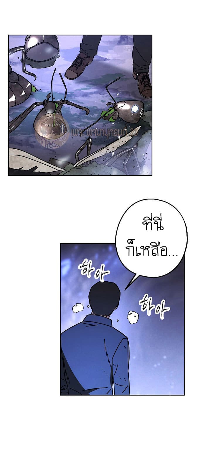 The Live page 51