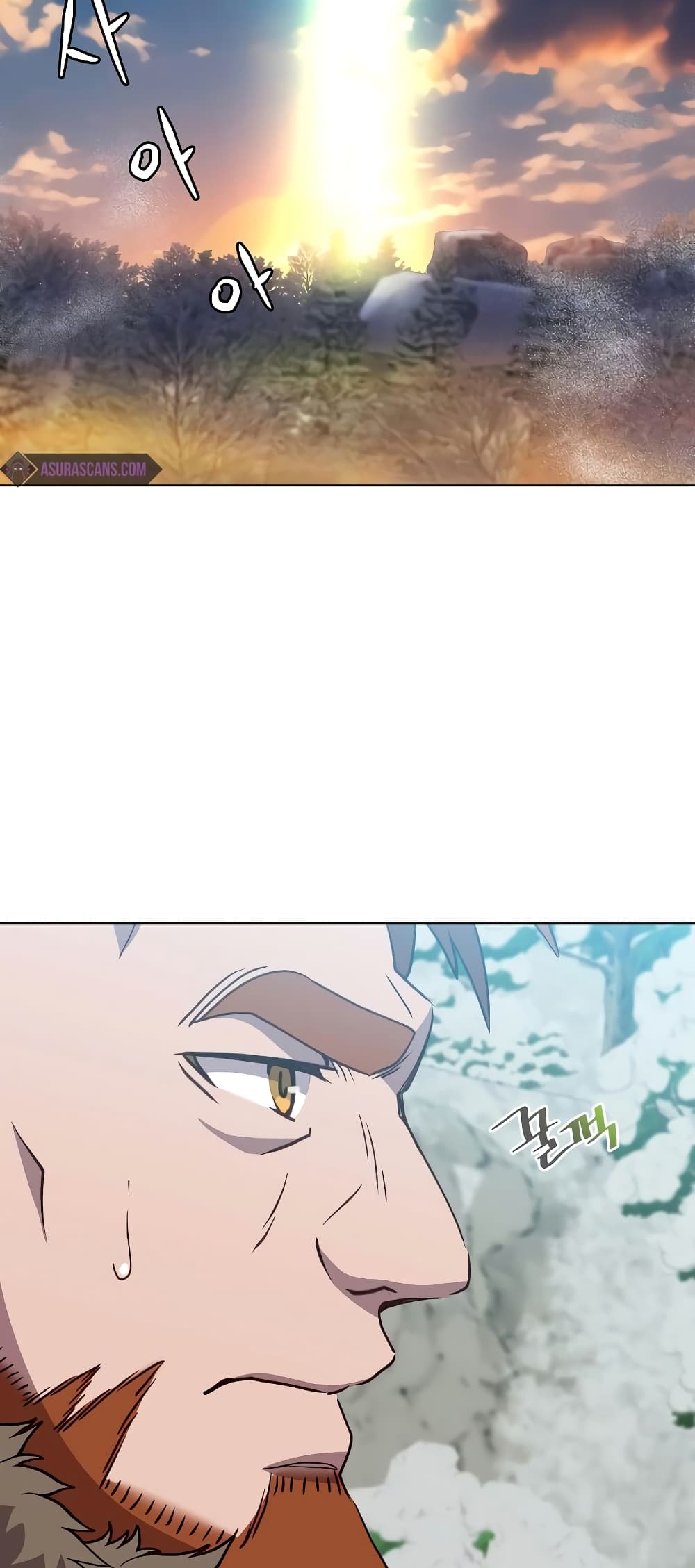 The Max Level Hero has Returned! page 65