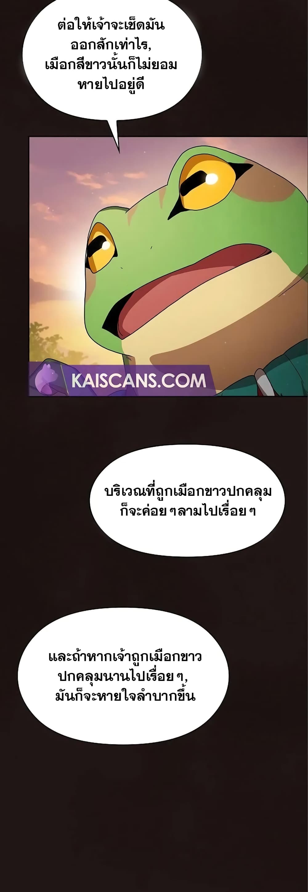 The Nebula's Civilization page 27