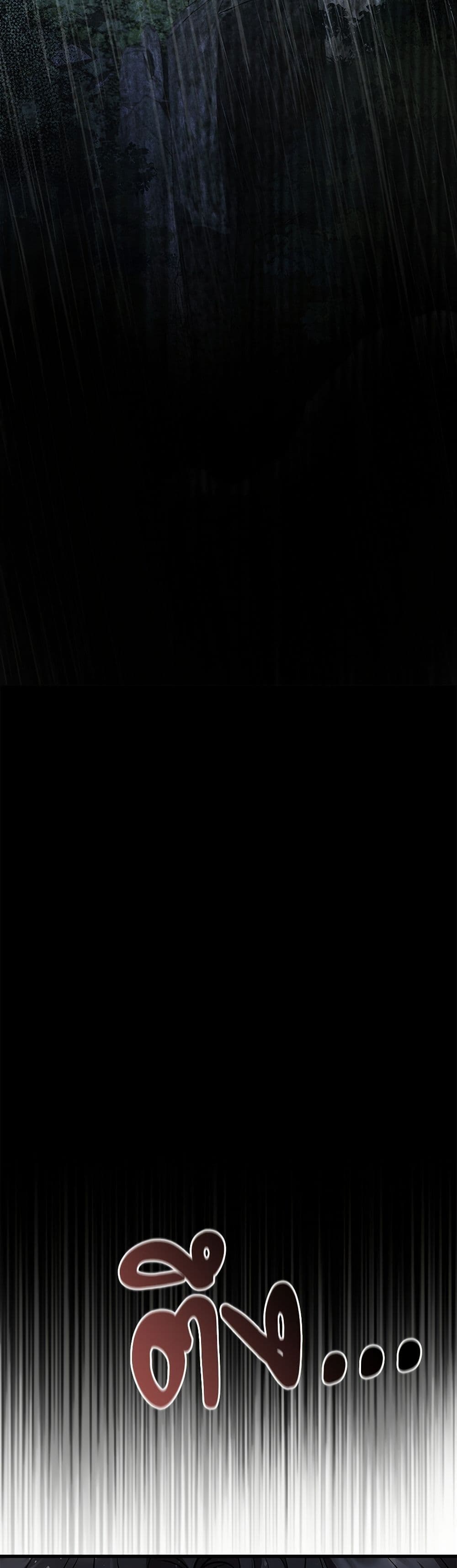 The Night Without Shadows page 48
