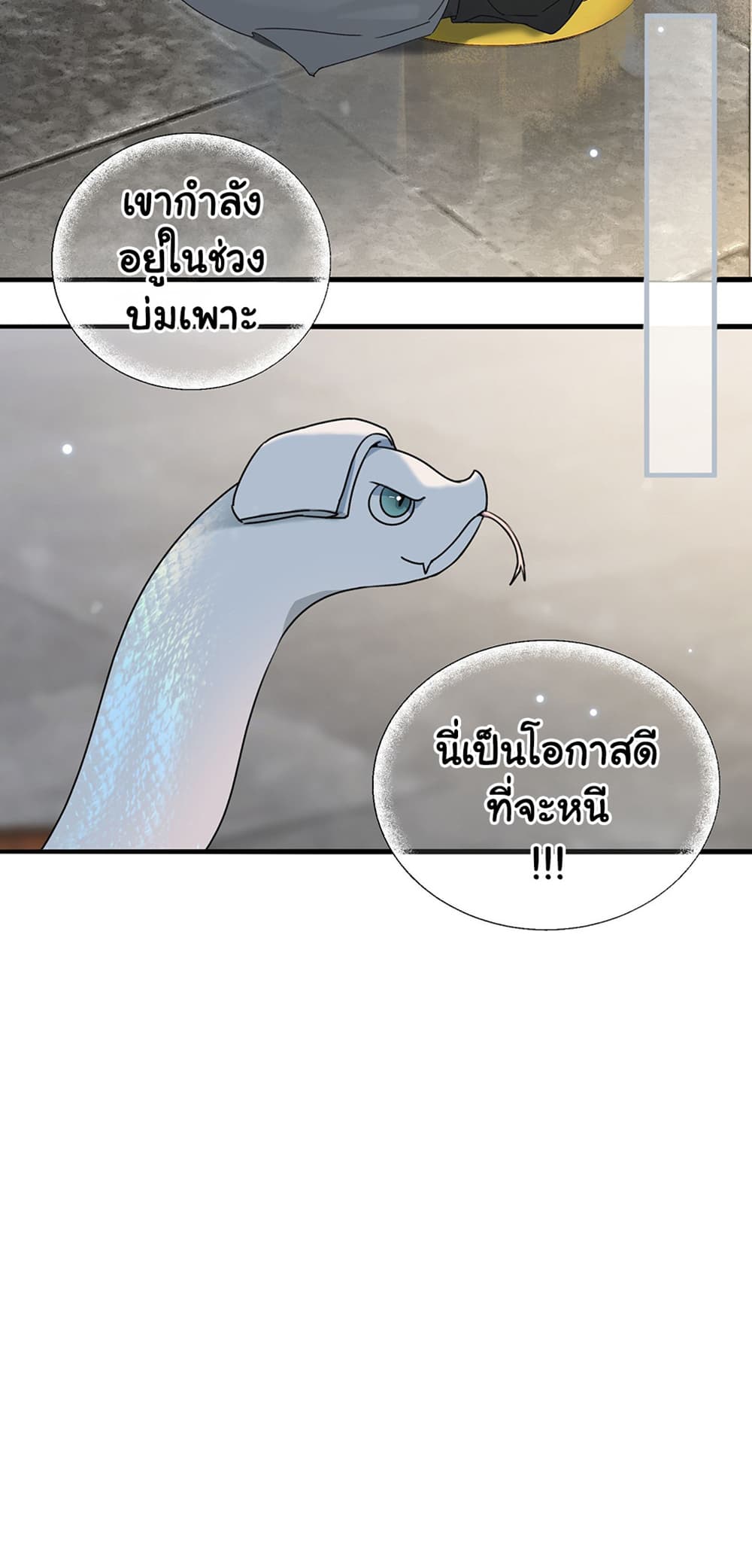 The Snake Demon Wants to Flee page 13