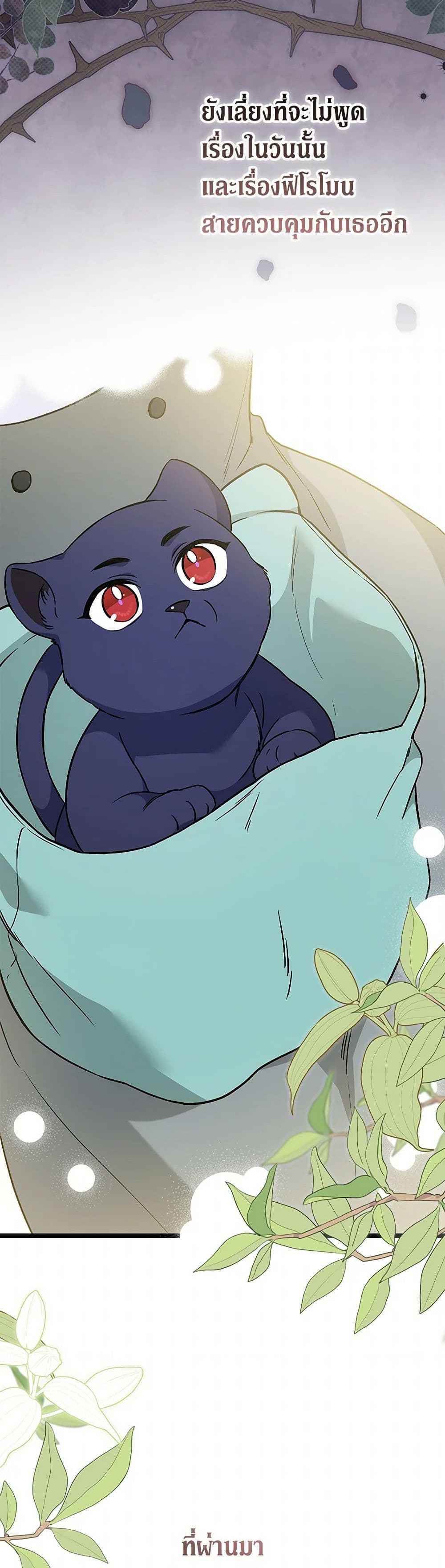 The Symbiotic Relationship Between a Panther and a Rabbit page 5