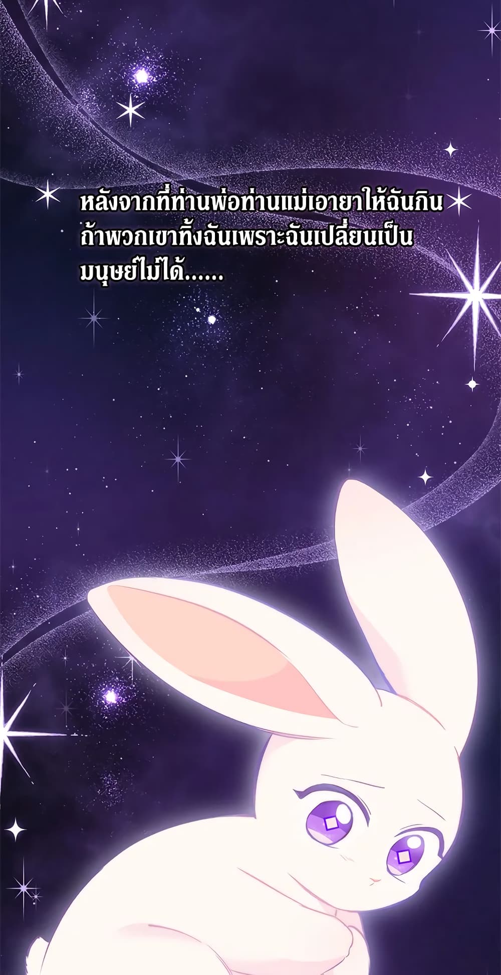 The Symbiotic Relationship Between a Panther and a Rabbit page 3