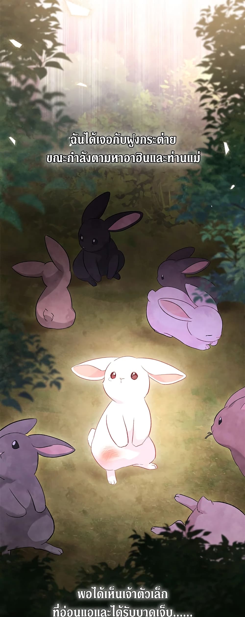 The Symbiotic Relationship Between a Panther and a Rabbit page 3