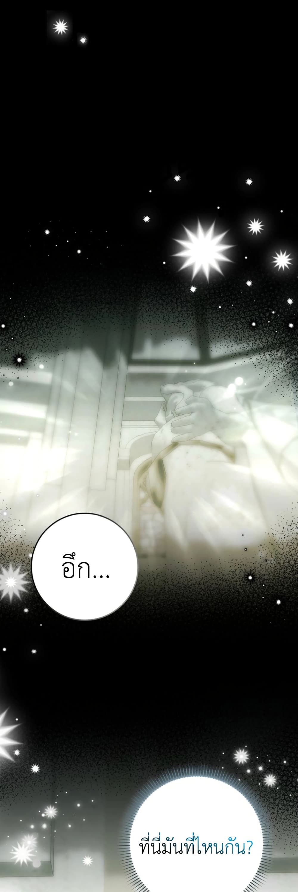 The White Tiger Princess is Not Dangerous page 2
