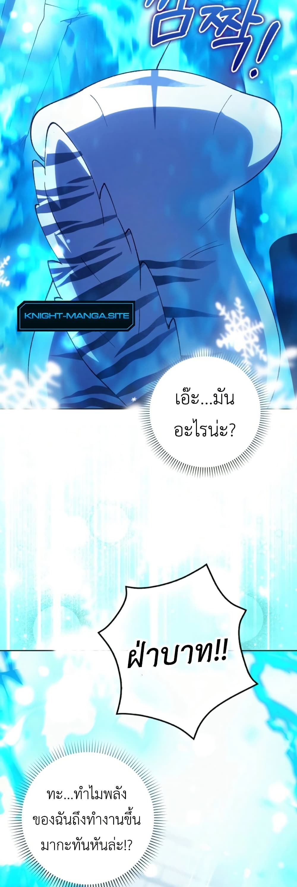 The White Tiger Princess is Not Dangerous page 9