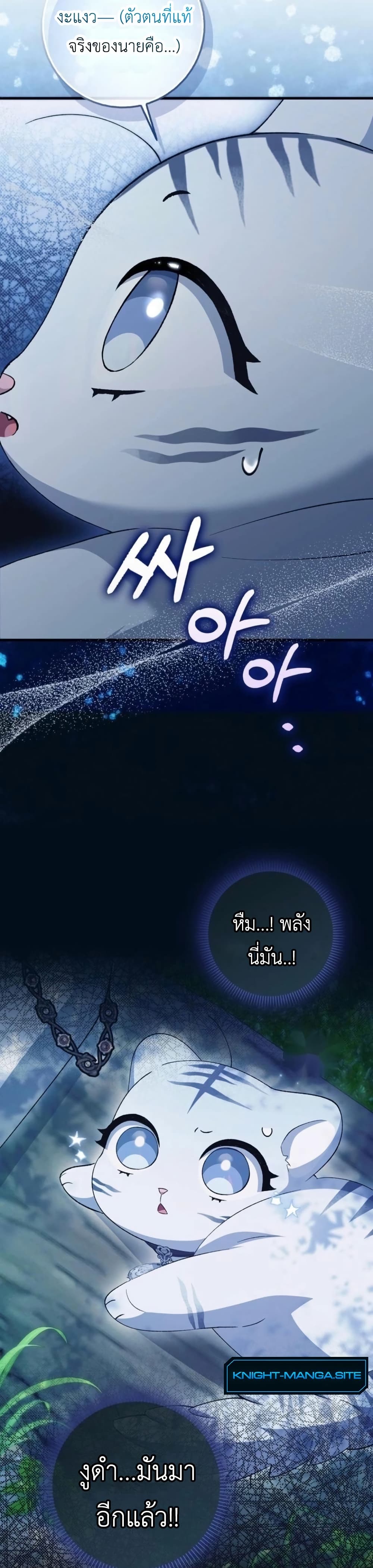 The White Tiger Princess is Not Dangerous page 22