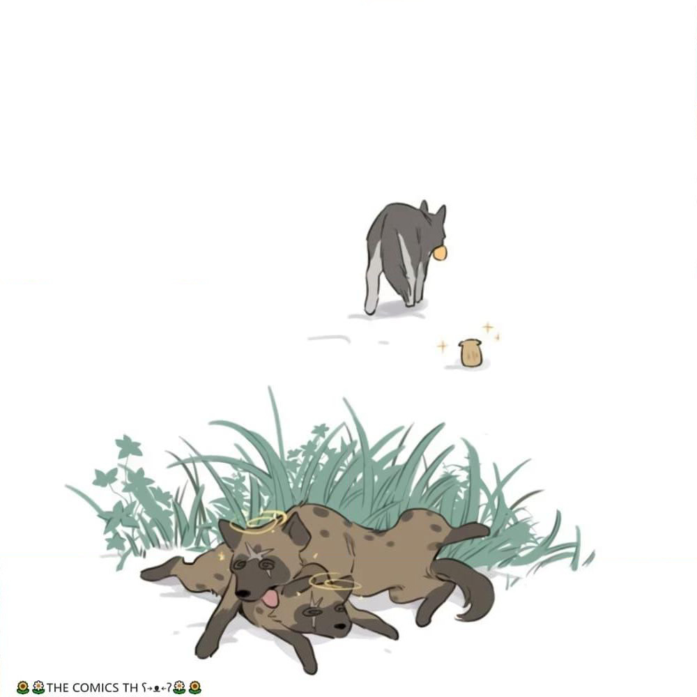 The Wolf That Picked Something Up page 18