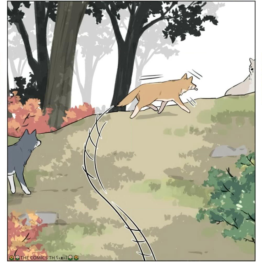 The Wolf That Picked Something Up page 13