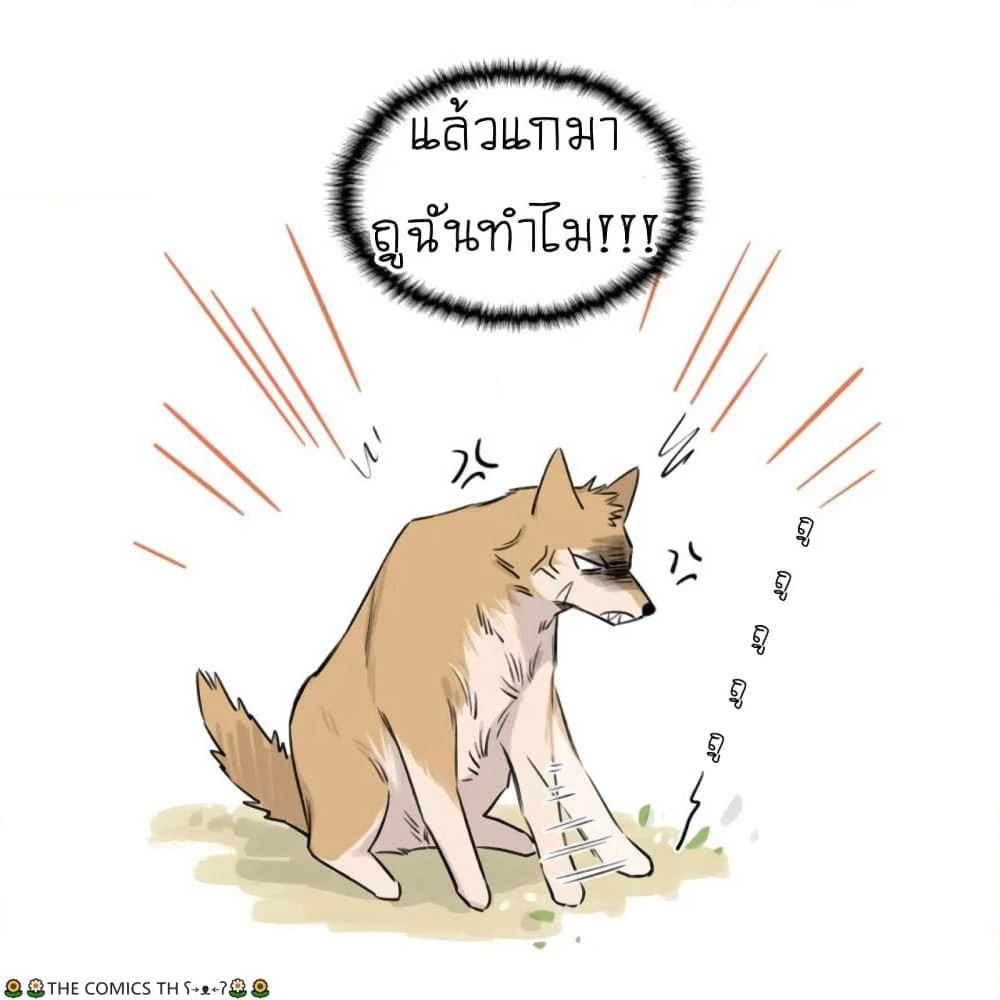 The Wolf That Picked Something Up page 19