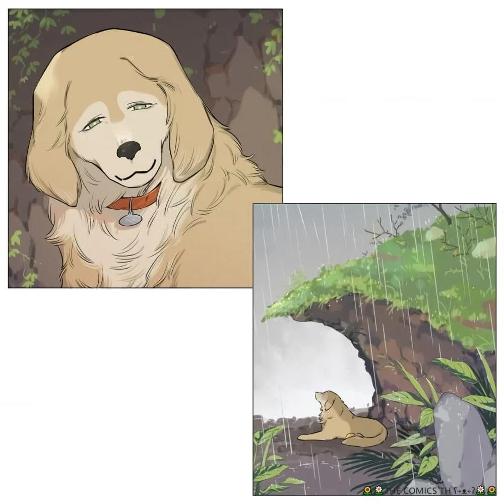 The Wolf That Picked Something Up page 7