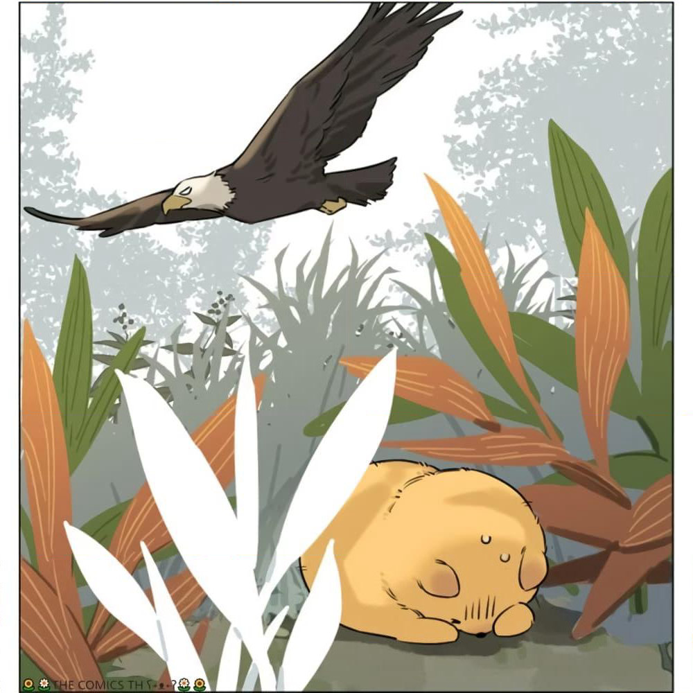 The Wolf That Picked Something Up page 14