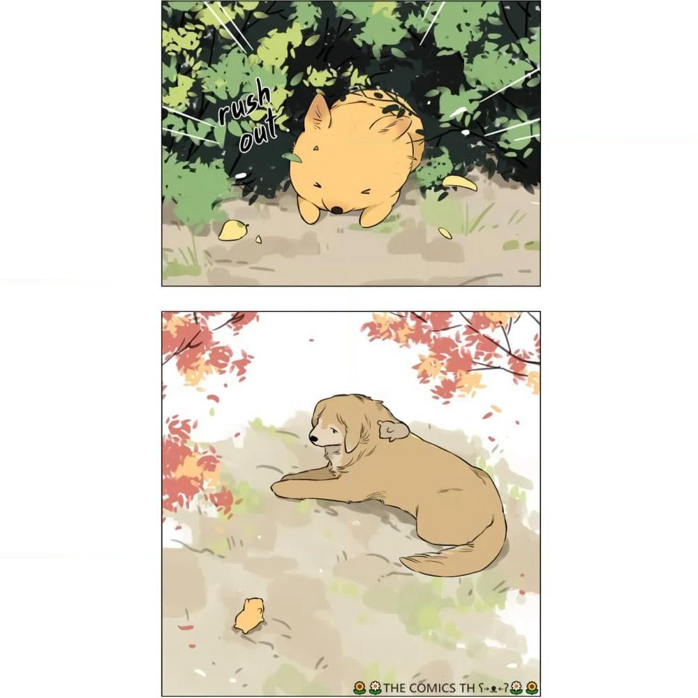 The Wolf That Picked Something Up page 18