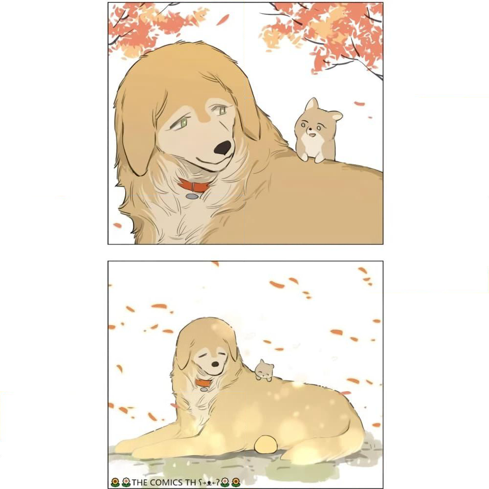 The Wolf That Picked Something Up page 20