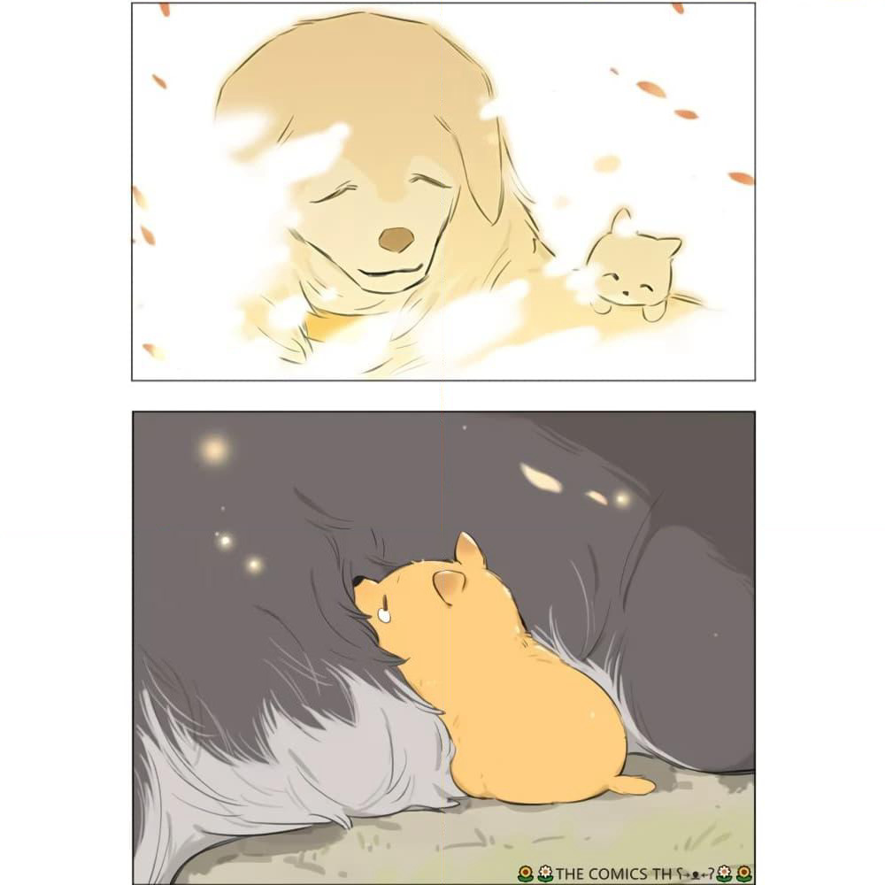 The Wolf That Picked Something Up page 21