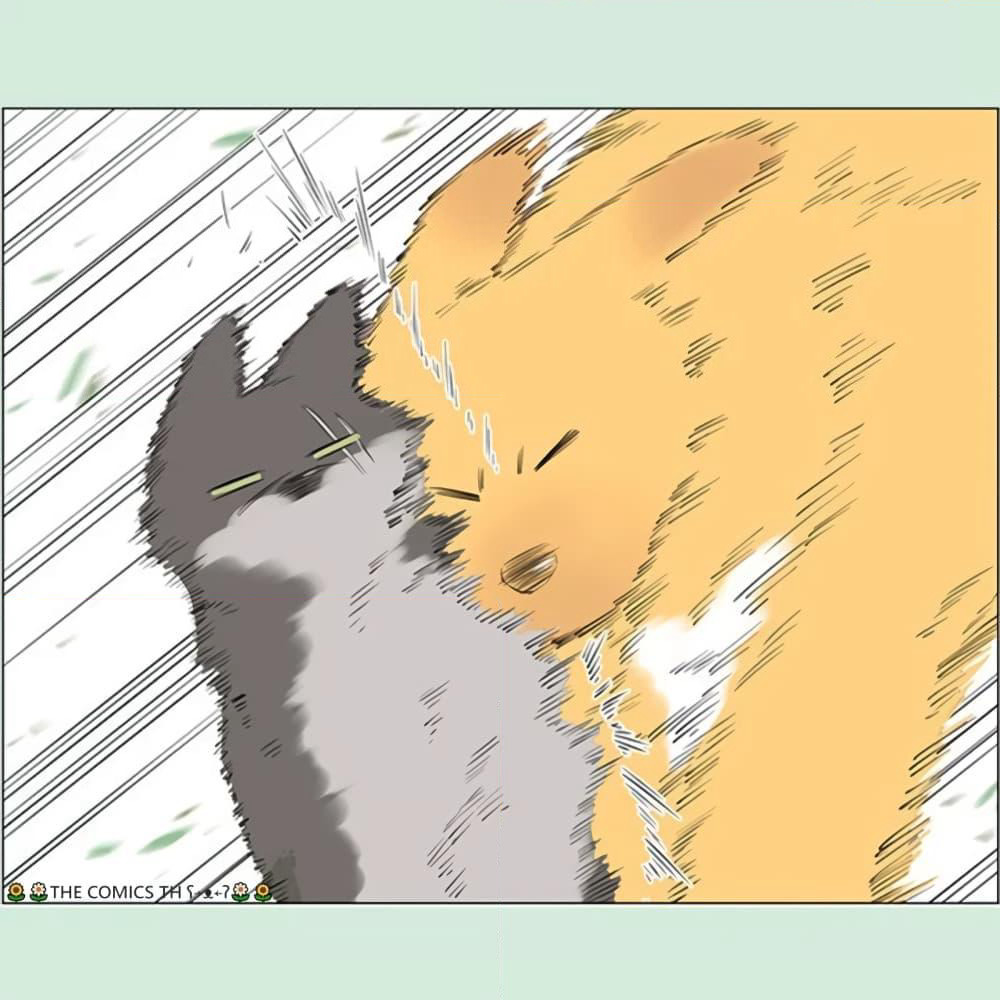 The Wolf That Picked Something Up page 9