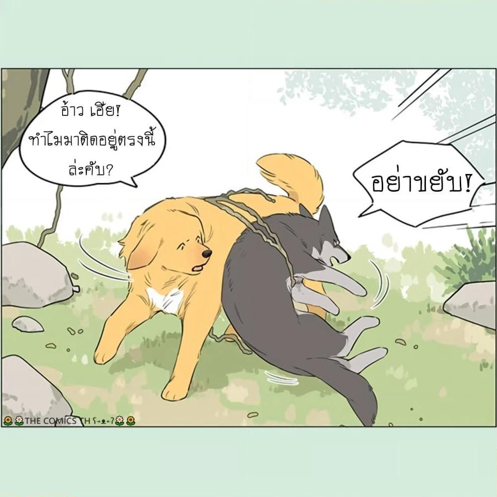The Wolf That Picked Something Up page 17