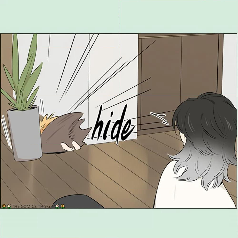 The Wolf That Picked Something Up page 13