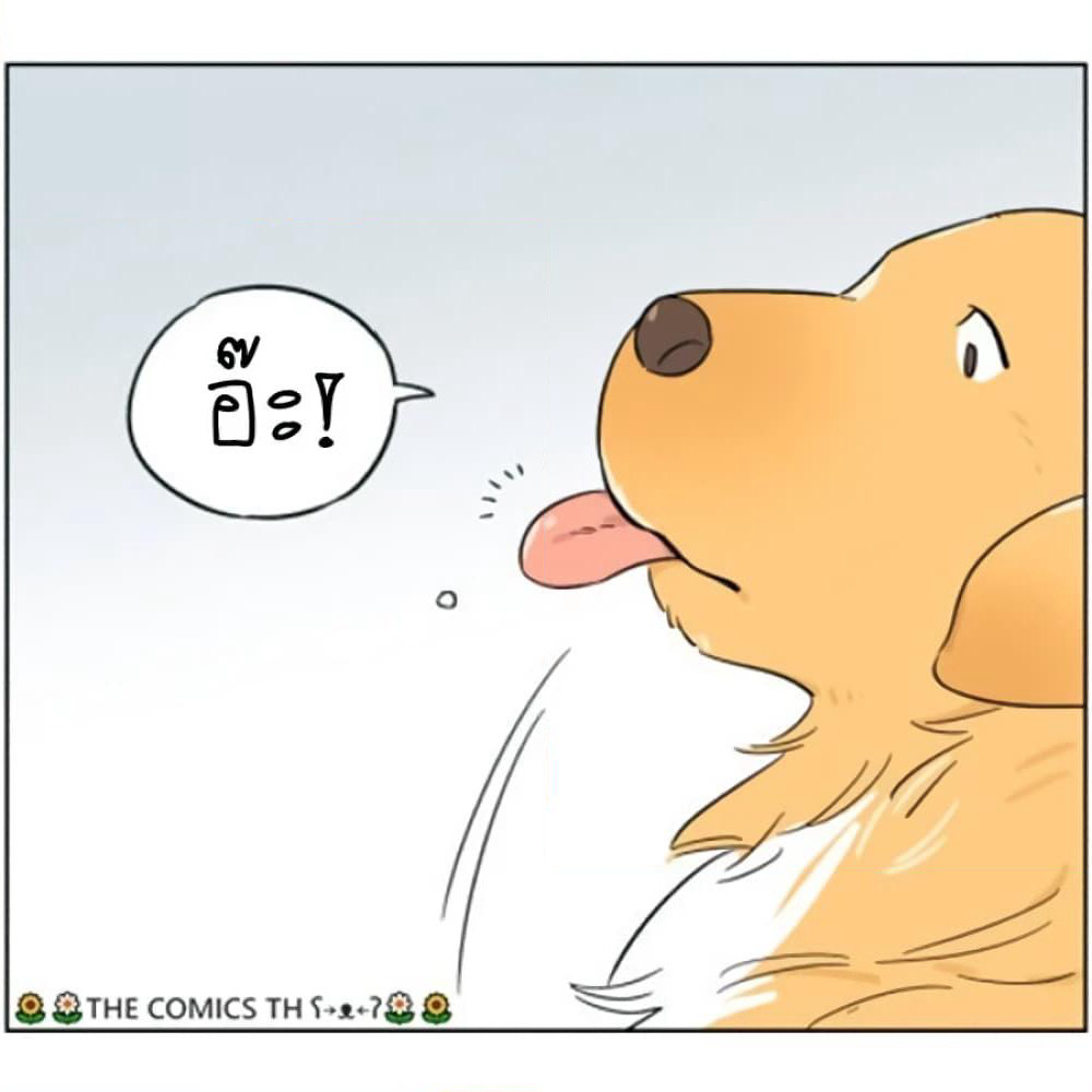 The Wolf That Picked Something Up page 16