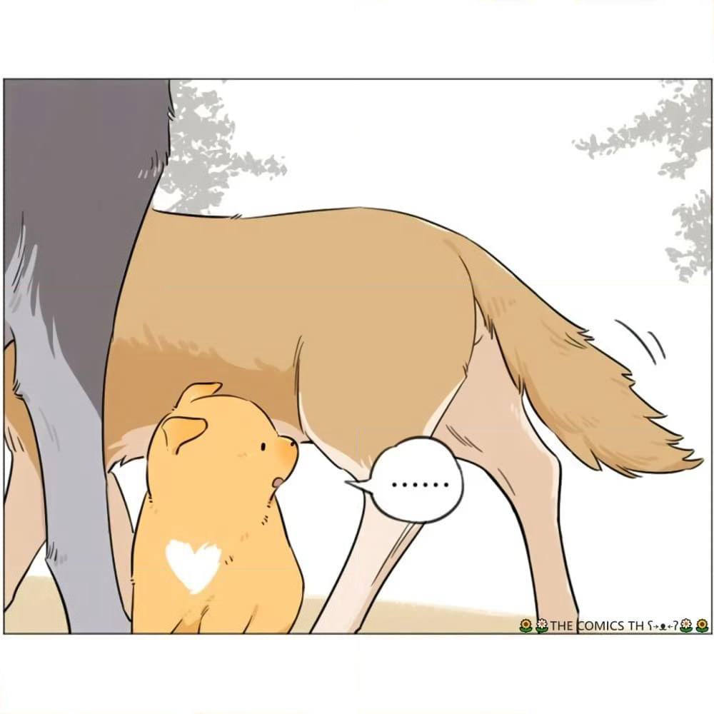 The Wolf That Picked Something Up page 11