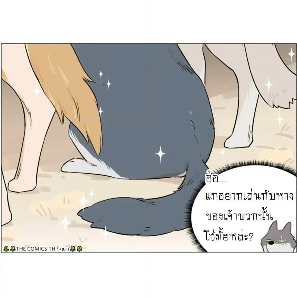 The Wolf That Picked Something Up page 13