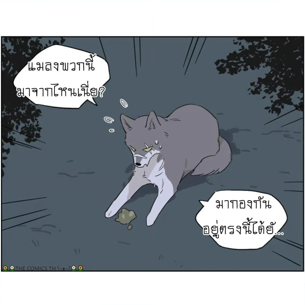 The Wolf That Picked Something Up page 11