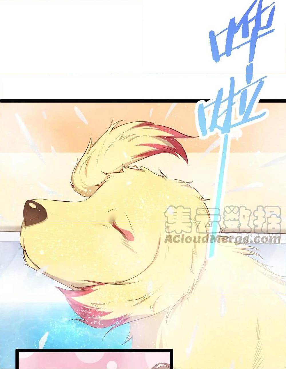 Tianjie Agent page 39